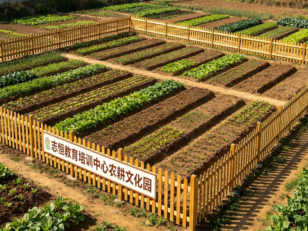 鹤岗家长必读:叛逆孩子全封闭管教学校怎么选才放心